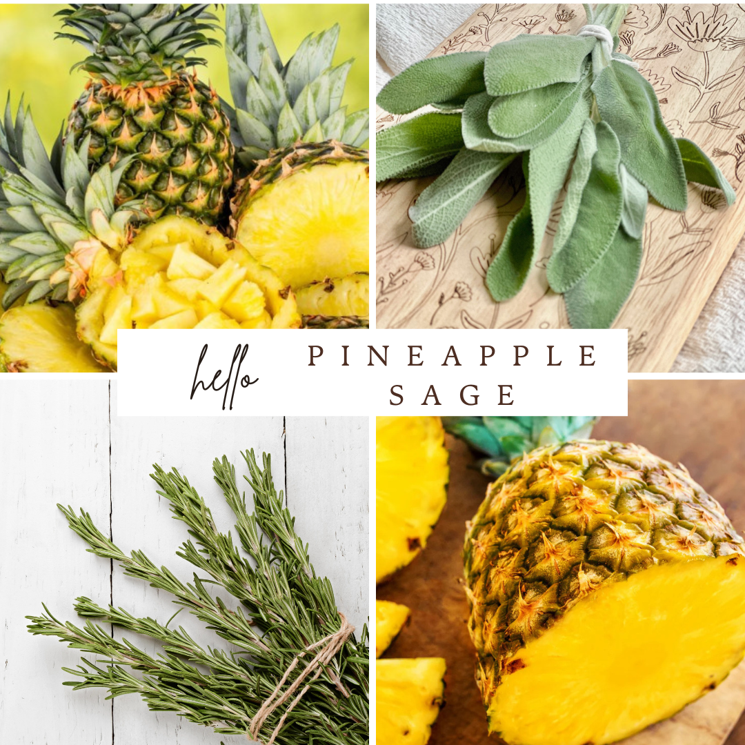 Pineapple Sage Candle