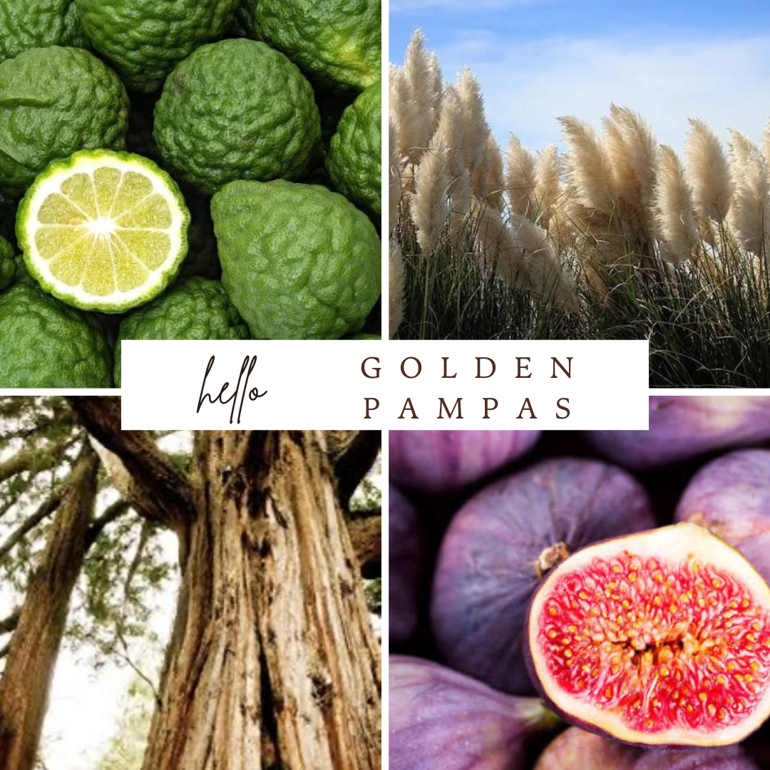Golden Pampas Candle