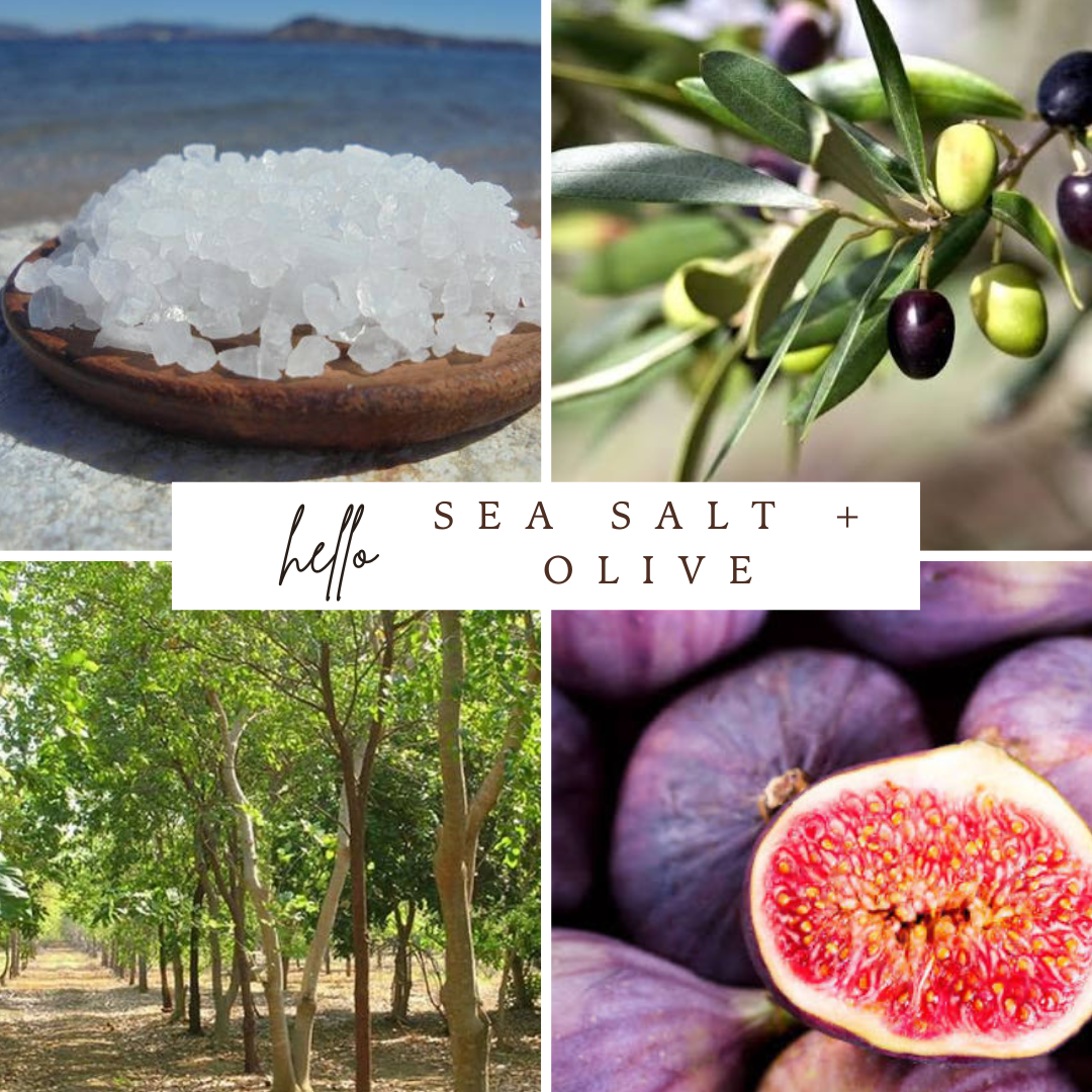 Sea Salt + Olive Candle