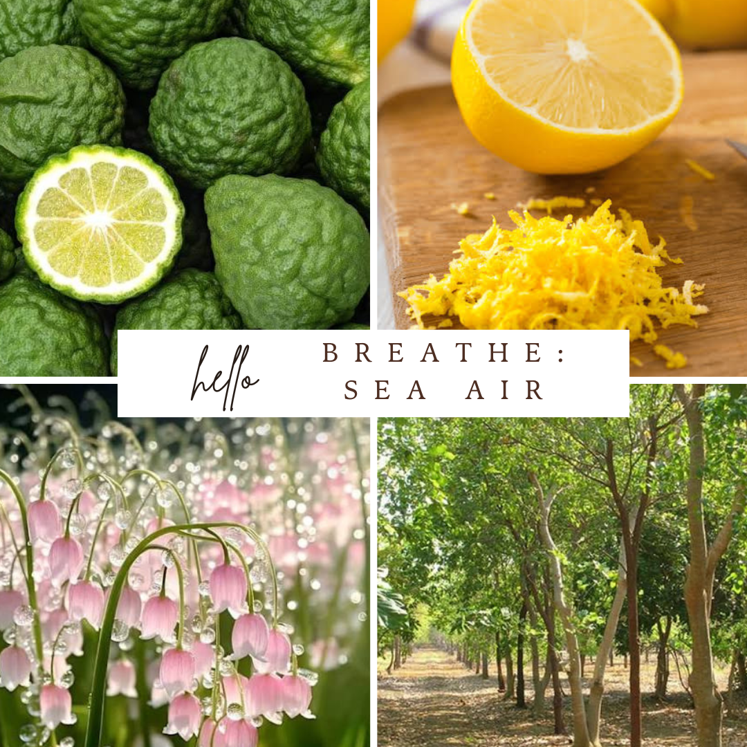 Breathe: Sea Air Candle
