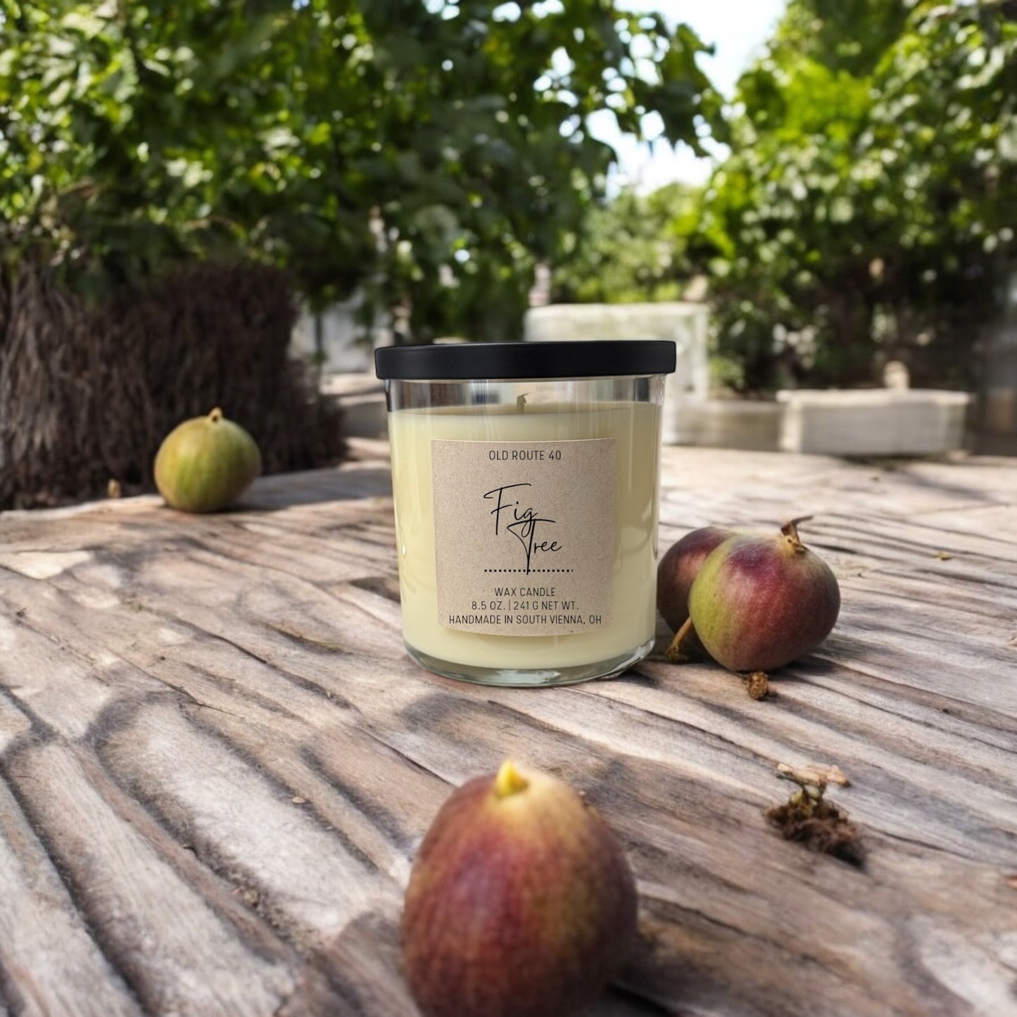 Fig Tree Candle